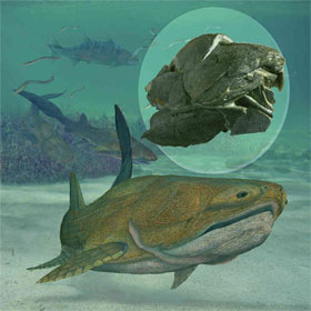 Khai quật hóa thạch cá 429 triệu năm tuổi