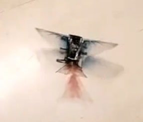 Video: Robot tái hiện bước tiến hóa về khả năng bay của sinh vật 