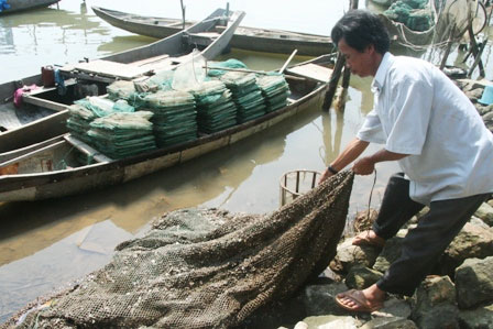 Hàng chục tấn cá chết đột ngột do nước đầm ngọt hóa