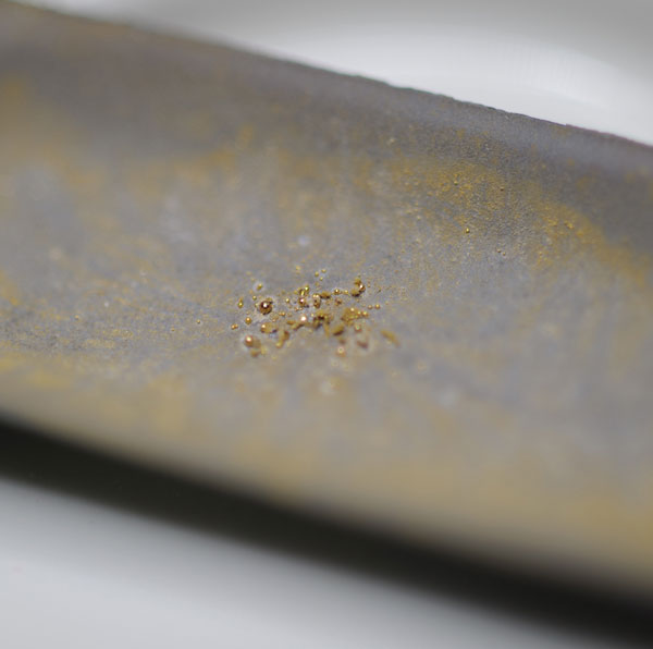 Sản xuất vàng 24-karat bằng vi khuẩn