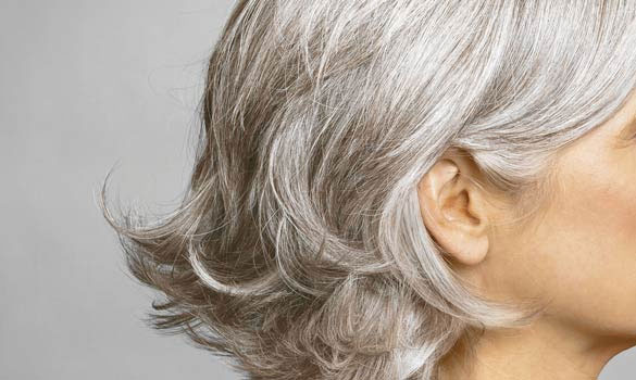 Không có lý thuyết nào chứng minh tóc có thể đột nhiên bạc trắng sau 1 đêm. 