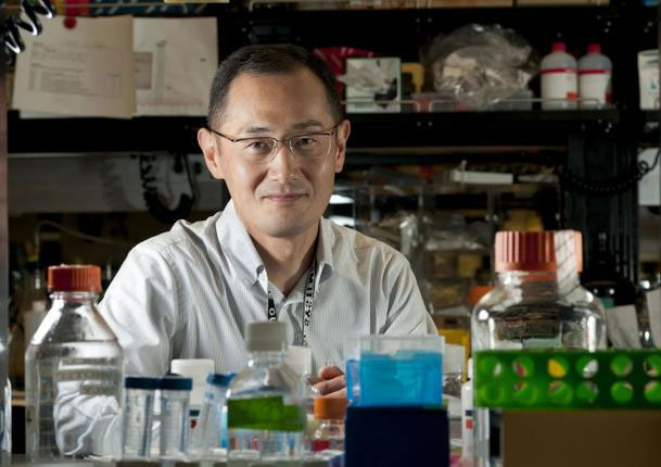 Nobel Y học 2012 "mở đường" chữa bệnh nan y 