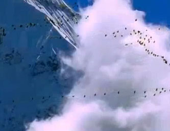 Video: Đại bàng bắt sếu trên bầu trời