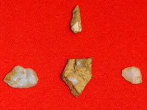 Phát hiện xương người niên đại 12.000 năm ở Nhật 