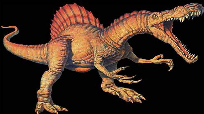 Xác định loài khủng long ăn thịt lớn nhất