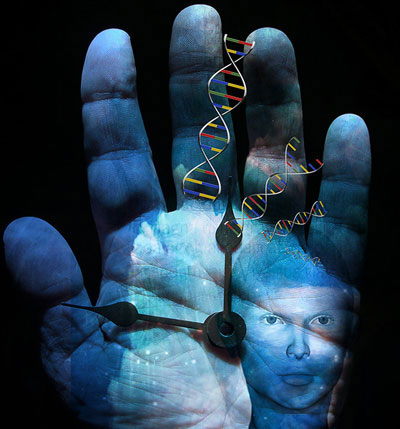 Chứng cứ gene về cuộc xâm lăng địa cầu của loài người