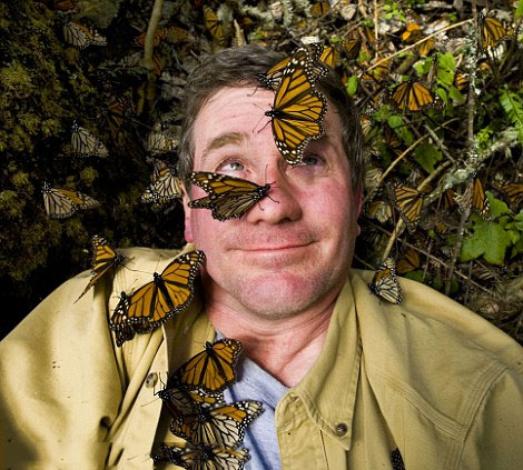 Thung lũng bướm vua kỳ ảo tại châu Mỹ 