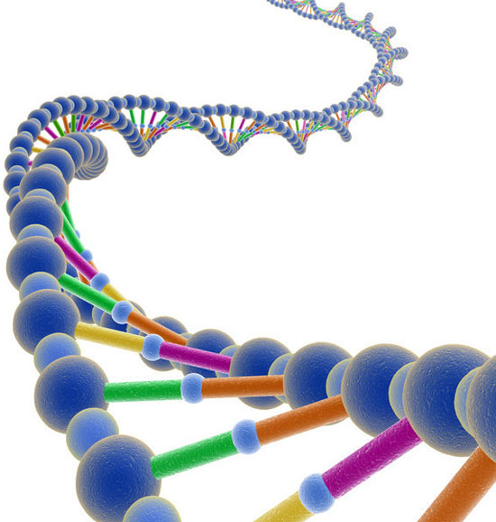Giải mã được trình tự gene của ung thư tuyến tụy