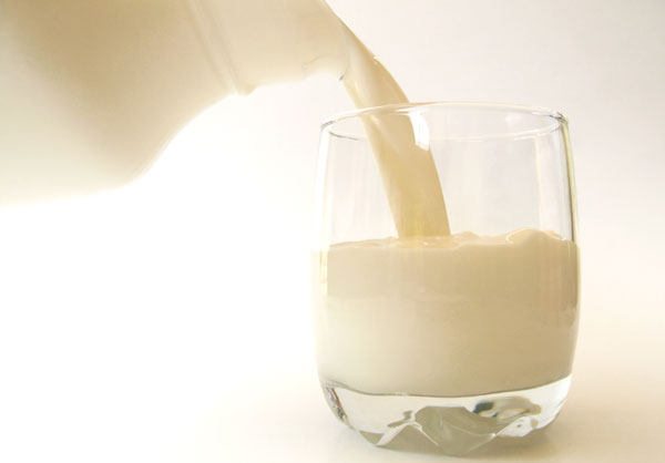 Sử dụng sữa bò ngăn chặn HIV