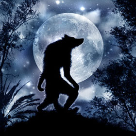 Người Sói Trên Nền Đá Hình minh họa Sẵn có  Tải xuống Hình ảnh Ngay bây  giờ  Người sói  Quái Vật Chó sói Quái Vật  iStock