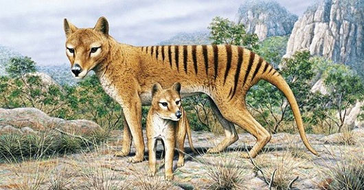 Những động vật tuyệt chủng có cơ hội 