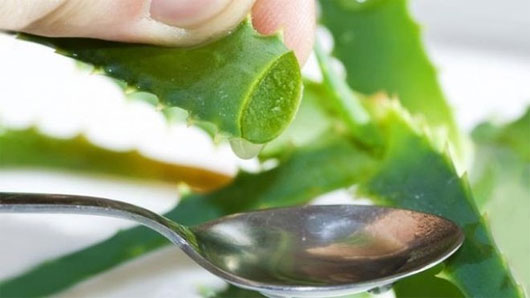 Những cách phòng, trị bệnh hết sức đơn giản bạn nên biết