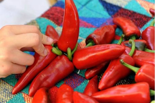 Làm lạnh cơ thể và ăn ớt ngọt giúp 