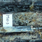 Trung Quốc phát hiện thanh kiếm cổ 2000 năm bằng đồng xanh như mới