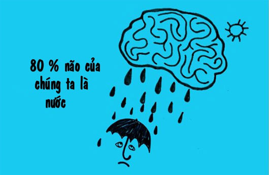 Bí kíp làm sạch nước bẩn sau bão lũ
