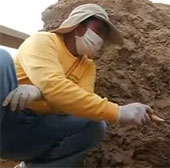 Video: 2 xác ướp nguyên vẹn 1000 năm tuổi ở Peru