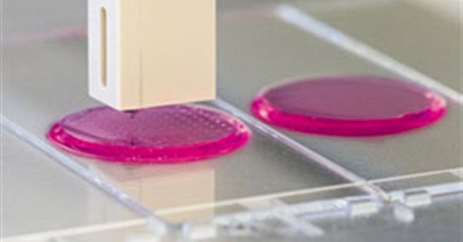 Đột phá về mực sinh học "in" bộ phận cơ thể người