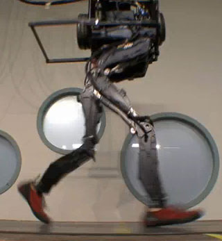 Video: Robot hít đất, tập thể dục