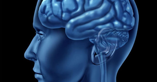 Não nhân tạo giúp phục hồi khả năng vận động