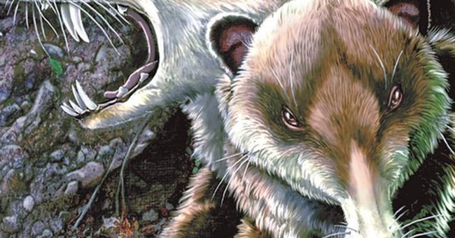 Phát hiện hóa thạch loài sóc có răng kiếm cổ đại