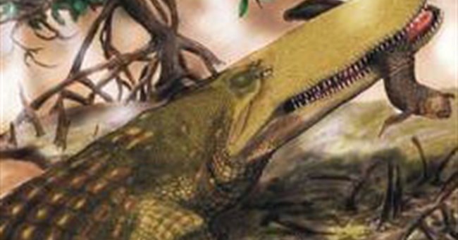 Phát hiện cá sấu cổ đại dài 11 mét