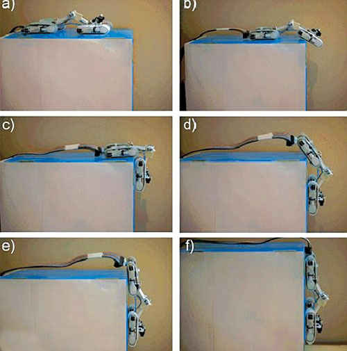 Robot tắc kè