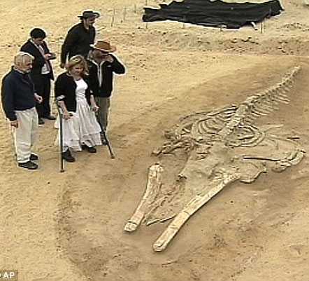 Phát hiện nghĩa địa của 75 con cá voi trong sa mạc 