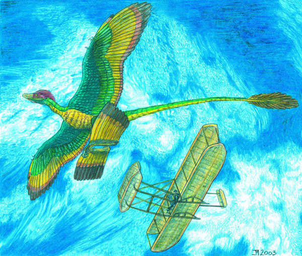 Bằng chứng đầu tiên về khủng long “bay” ăn thịt chim