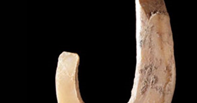 Người tiền sử nắm kỹ thuật bắt cá ở vùng biển sâu