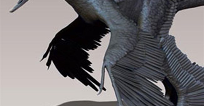 Loài khủng long săn mồi có bốn cánh 