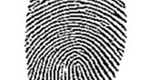 Kỹ thuật mới phát hiện dấu vân tay trên giấy ướt