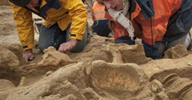 Phát hiện xương voi ma mút gần Paris
