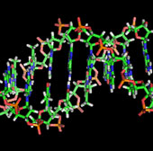 Mã vạch ADN chống hàng dỏm 