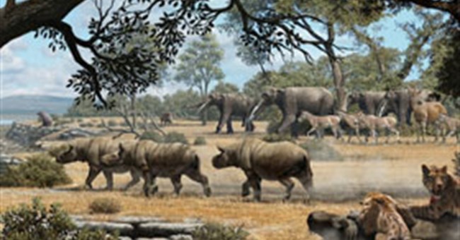 9 triệu năm trước chó gấu và mèo đã từng sống cùng nhau