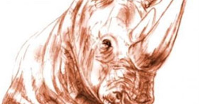 Tìm thấy hóa thạch sọ tê giác 9,2 triệu năm tuổi trong tro bụi núi lửa