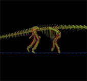 Video: Tái hiện lại bước đi của khủng long Argentinosaurus