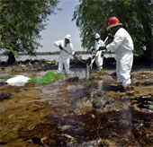Hơn 200 triệu người có nguy cơ nhiễm độc từ môi trường