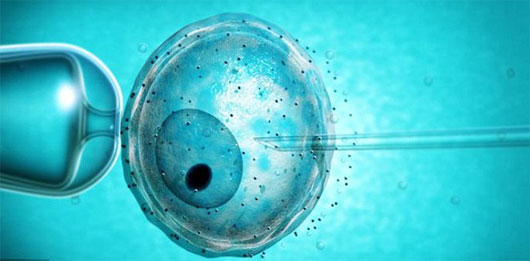 Nguồn gene ảnh hưởng phương pháp thụ tinh ống nghiệm