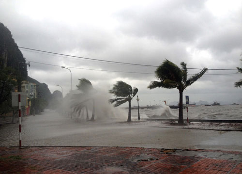 Bão Haiyan đánh sập cột ăng ten truyền hình Uông Bí