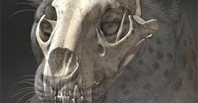 Phát hiện hóa thạch họ mèo lâu đời nhất ở Tây Tạng