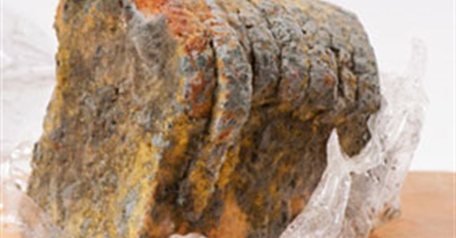 Bao bì thực phẩm chống nấm mốc