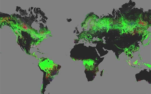 Diện tích rừng Trái Đất trên bản đồ thế giới: Mặc dù diện tích rừng trên thế giới đang giảm dần, nhưng bản đồ thế giới vẫn cung cấp cho chúng ta thông tin về các khu rừng vẫn còn nguyên vẹn. Các khu rừng vùng Amazon, Congo và rừng Bắc Cực đang tạo ra những điểm nhấn đáng chú ý trên bản đồ thế giới.