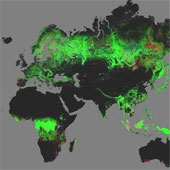 Ra mắt bản đồ thế giới đầu tiên về diện tích rừng Trái Đất