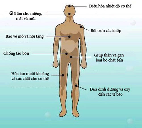 Không ăn, không uống sau bao lâu thì chúng ta chết?