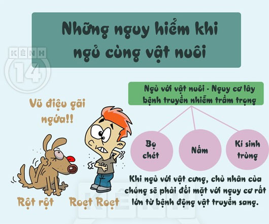 Nguy hại tiềm ẩn cho sức khỏe khi sơ ý ngủ cùng vật nuôi