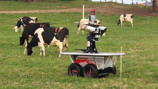 Robot chăn bò điệu nghệ giá triệu đô