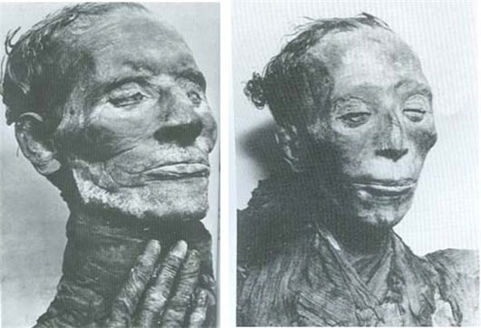 Phát hiện thức ăn 