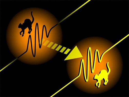 Bí ẩn người đàn ông di chuyển 17 nghìn km chỉ sau một giấc ngủ