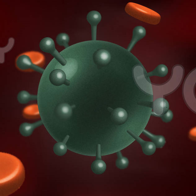 Vắcxin mới có khả năng ngăn ngừa virus HIV/AIDS