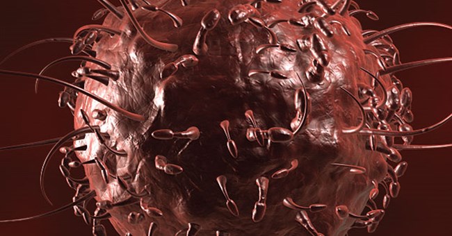 Cơ chế hoạt động enzyme giúp kiềm chế ung thư